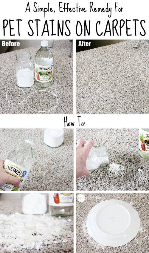 26 Genius Vinegar Cleaning Hacks From a Cleaning Pro - Frugally Blonde