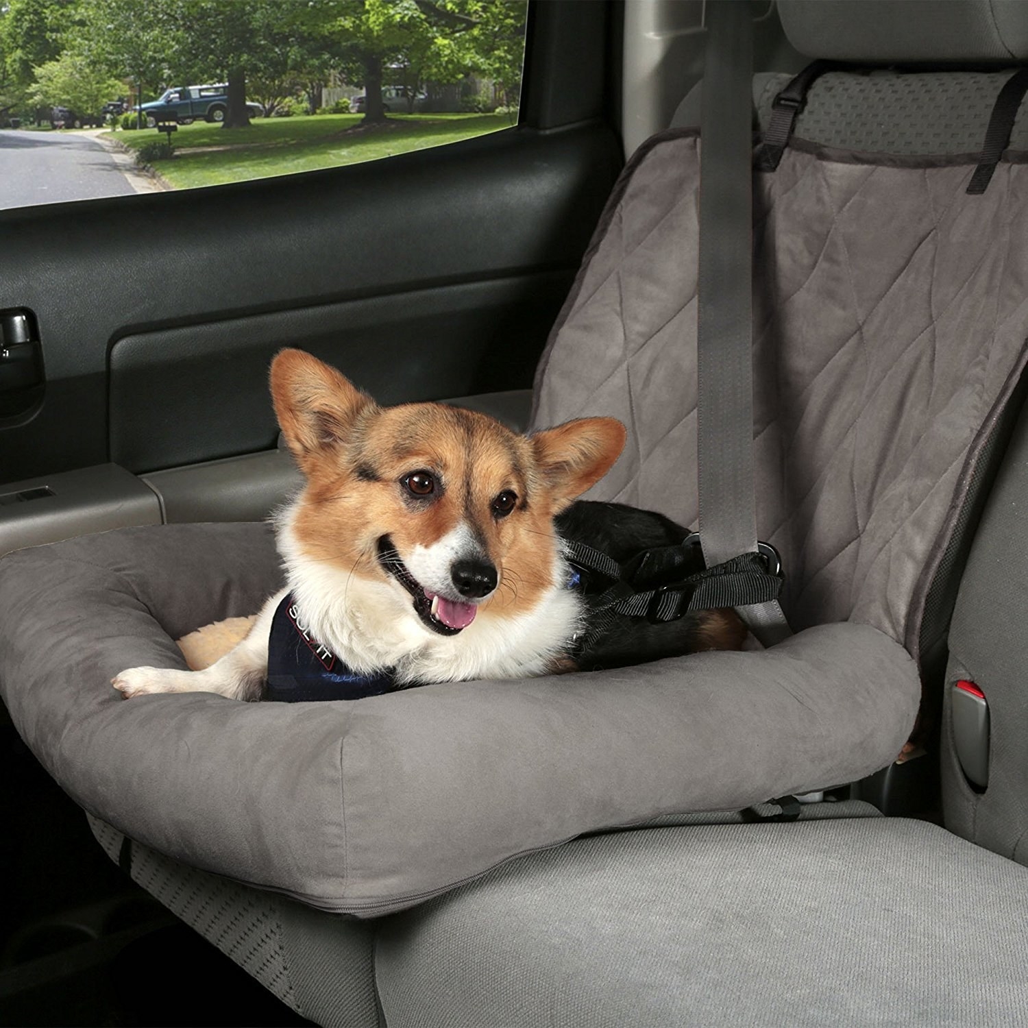 A lifestyle shot of a corgi sitting on top of this bed while in the car. The dog also has a seatbelt harness on. 