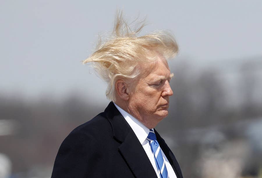 トランプ大統領の髪型はやっぱりカッコイイ