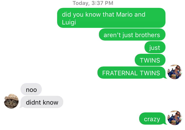 Wait, Mario & Luigi Are Twins?