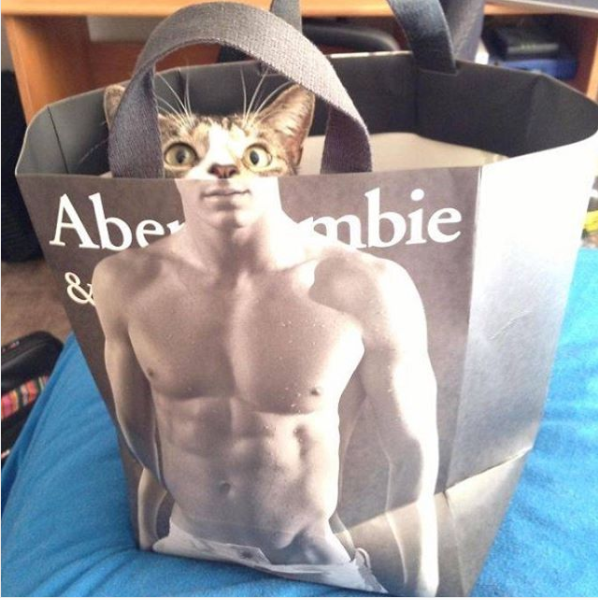 This adorably buff cat/human hybrid.