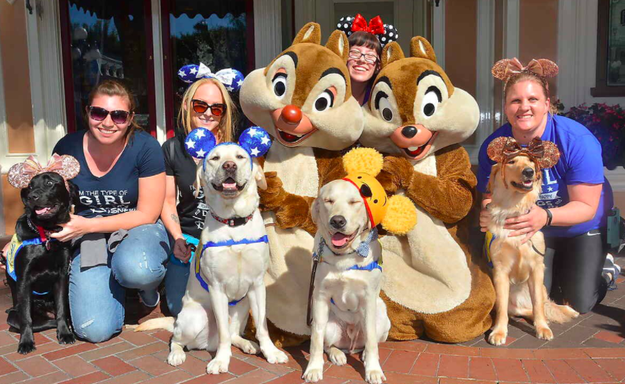 Earlier this week, the Canine Companions for Independence sent four of their service dogs on a field trip to Disneyland and California Adventure.