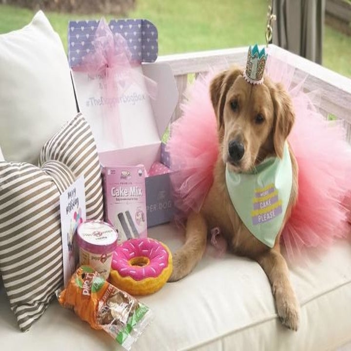 33 Mother's Day Gifts For The Pet Mom In Your Life