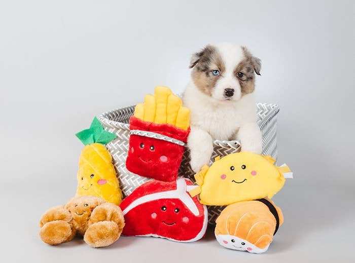 Cute Puppy Gift Ideas