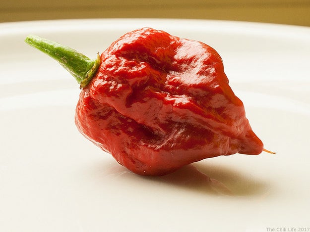 A 34-year-old man went to the ER with severe headaches after eating a Carolina Reaper pepper.