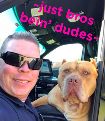 As for the moral of this story, Officer Frost said: "Pit bulls have a bit of a bad reputation. While you should always be careful around any dog that you don’t know, you shouldn’t automatically assume that all pit bulls are bad dogs. They might be really loving like this guy was this morning."