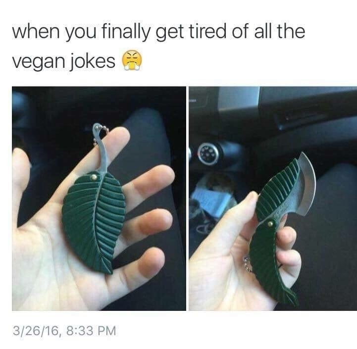 23 Jokes That Are Way Too Real If You Re A Vegan Easily share to facebook, twitter and pinterest! 23 jokes that are way too real if you