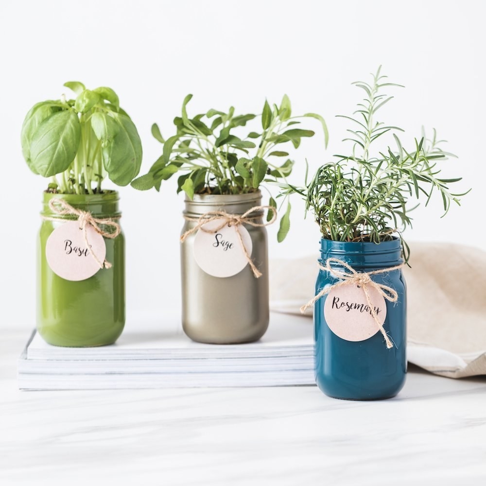 The set comes with three herbs: basil, sage, and rosemary.Promising review: "This was a great gift for my sister who just got her own place. The cute jars work as both decoration and as a planter. She has them in her kitchen window and cooks with them all the time. She said it was easy to put together and get growing. Each pot has two discs that expand with water and a pack of seeds that match the labels tied to the jars." —SmurfmisfitPrice: $29.99