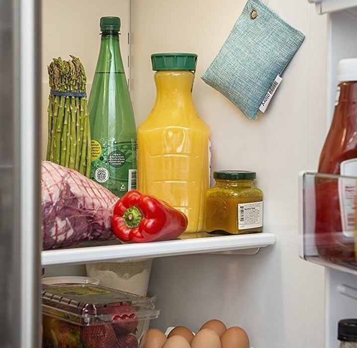 the blue fabric deodorizer pouch hanging in a fridge