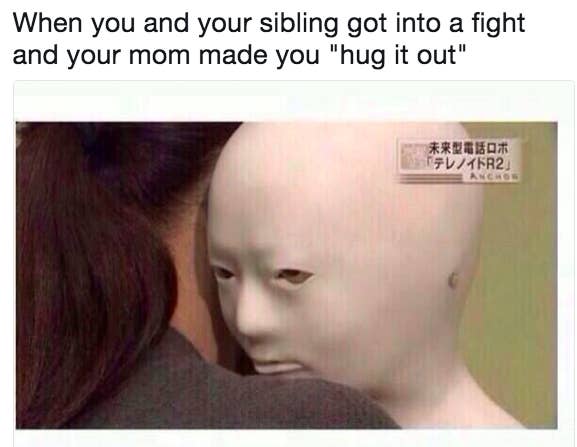 sibling fight funny