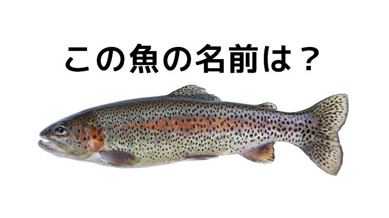 激ムズ 漁師にしか解けない 魚の名前当てクイズ