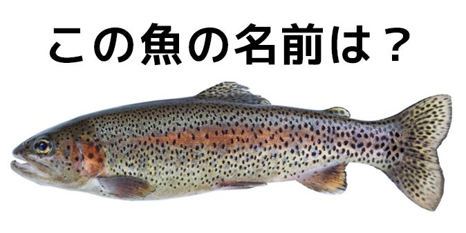 激ムズ 漁師にしか解けない 魚の名前当てクイズ