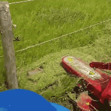 anigif_sub-buzz-7412-1526290264-1.gif