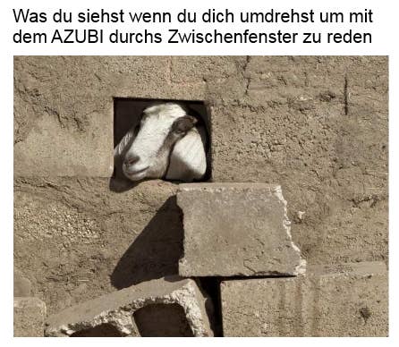 17 Alltagliche Momente Die Du Durchlebst Wenn Du Einen Rettungswagen Fahrst