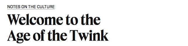 a nytimes article saying welcome to the age of the twink