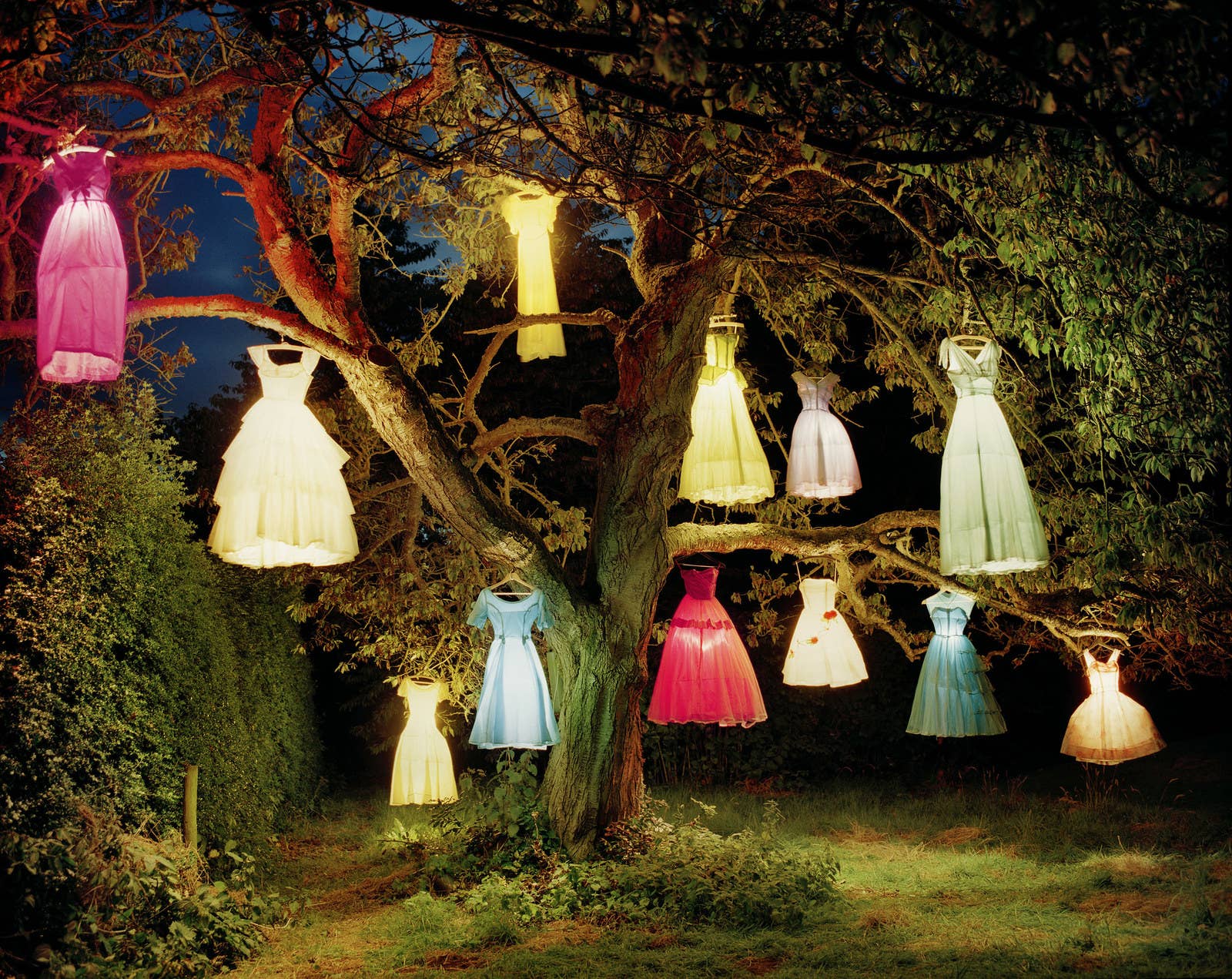 &quot;The Dress-Lamp Tree,&quot; England, 2002.