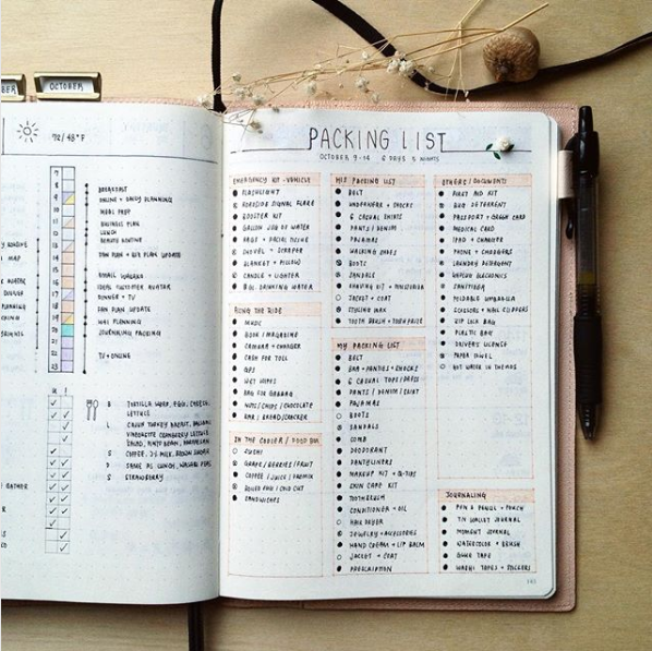 317 Bullet Journal Ideas For Literally Every Occasion