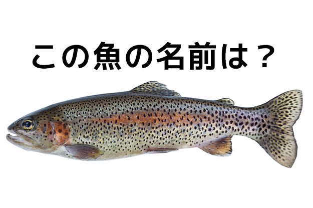 激ムズ 漁師にしか解けない 魚名当てクイズ