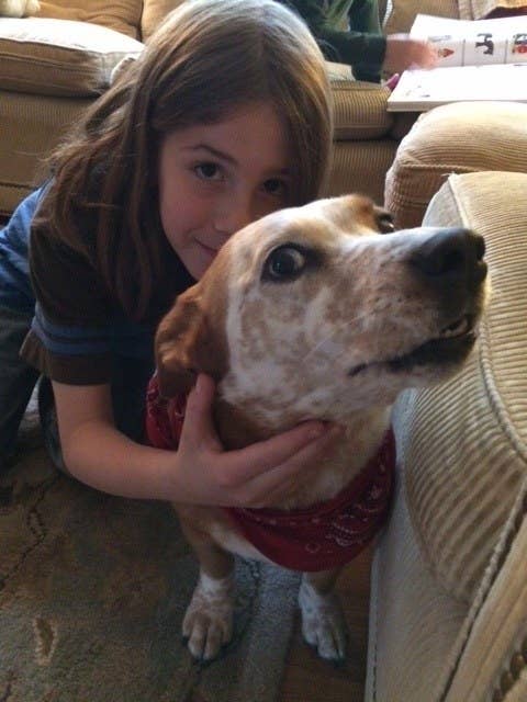 犬が好きすぎて 1年半もの間あることをし続けた少年