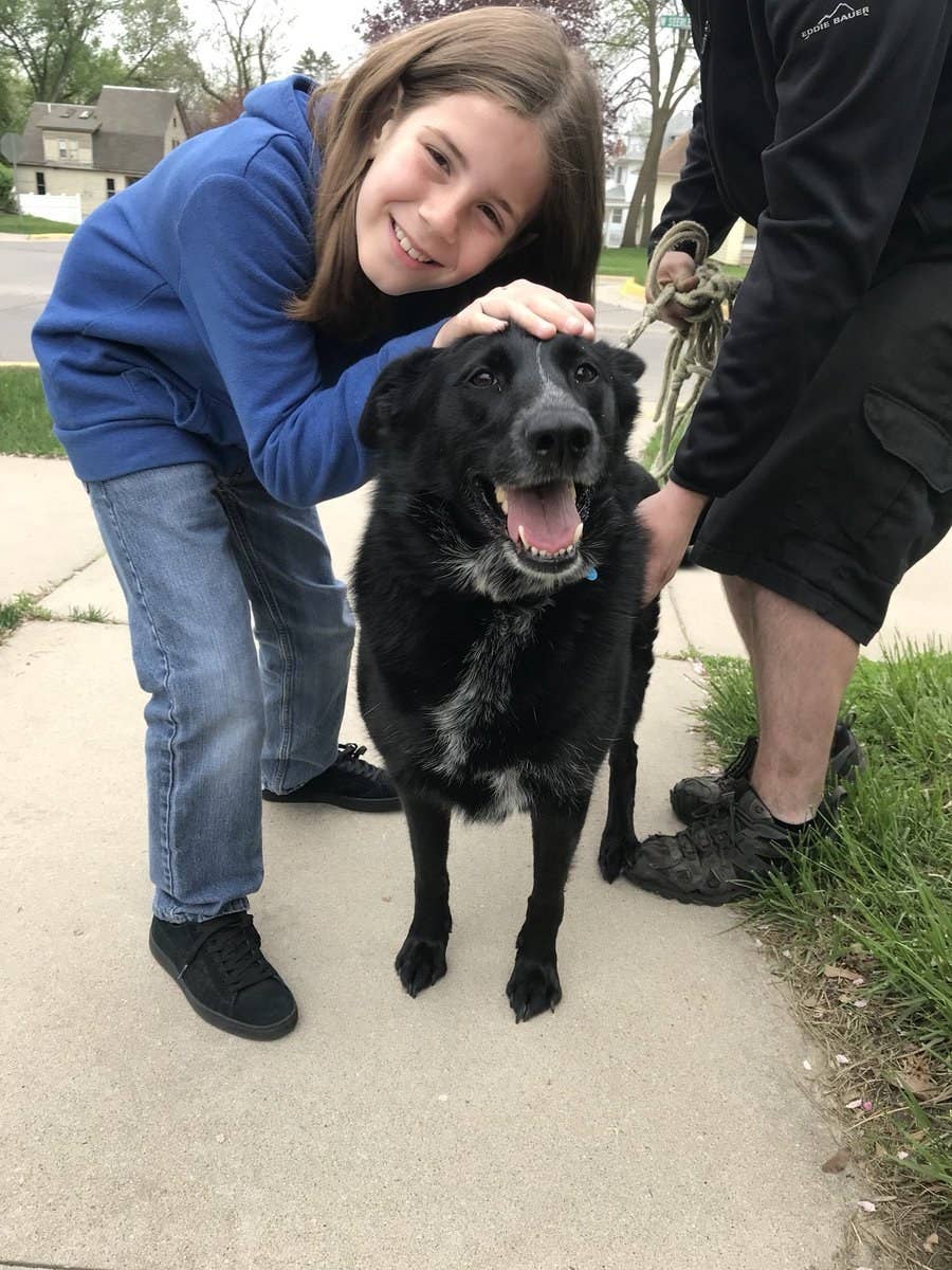 犬が好きすぎて 1年半もの間あることをし続けた少年
