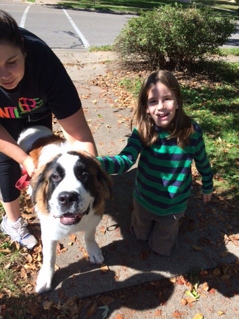 I've Pet More Than 300 Dogs And They Were All Good Dogs