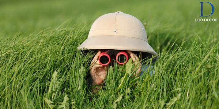 Enjoying the Summer with a game of scavenger hunt in the nearest park can be one of the best ways to create some of the most memorable memories. There might be a lot of organizations in your locality that might be conducting Summertime fun games on a comprehensive level. Gather around your family or friends and enjoy the fresh, rejuvenated vibes of summer by playing the most interesting game of all-time.