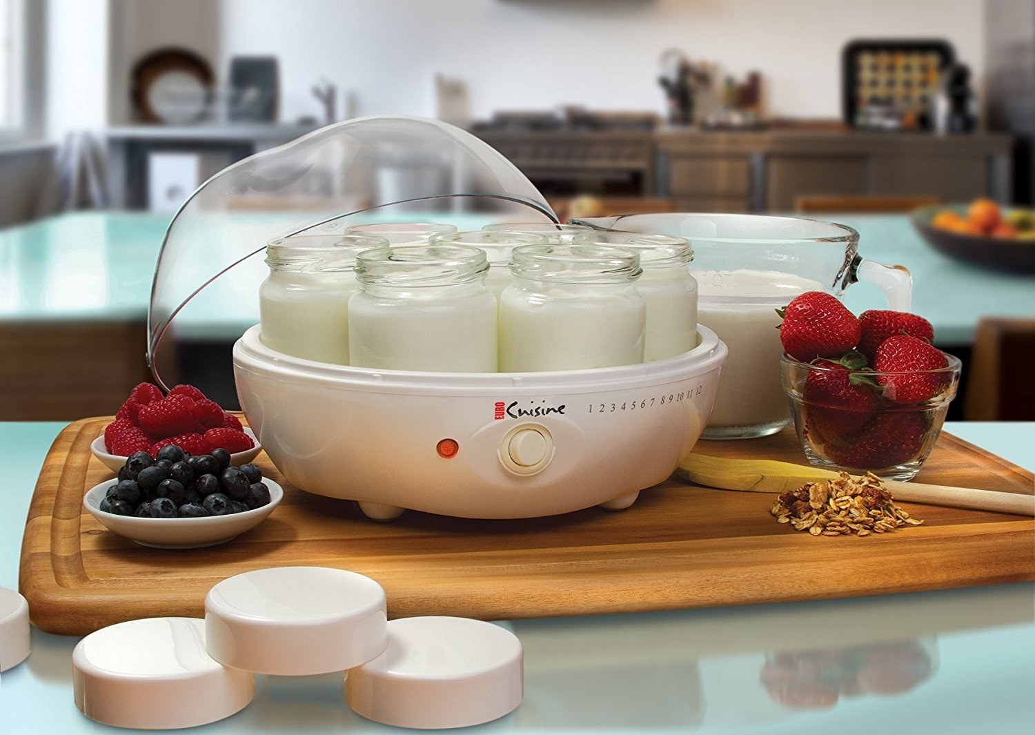 the yogurt maker