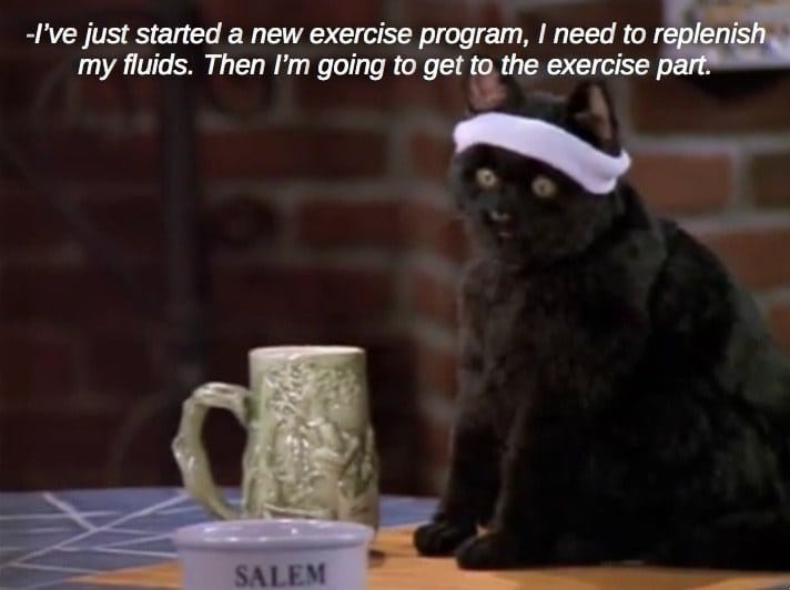 Featured image of post Sabrina The Teenage Witch Salem Meme Sabrina the teenage witch is getting rebooted with a film adaptation in the works at sony