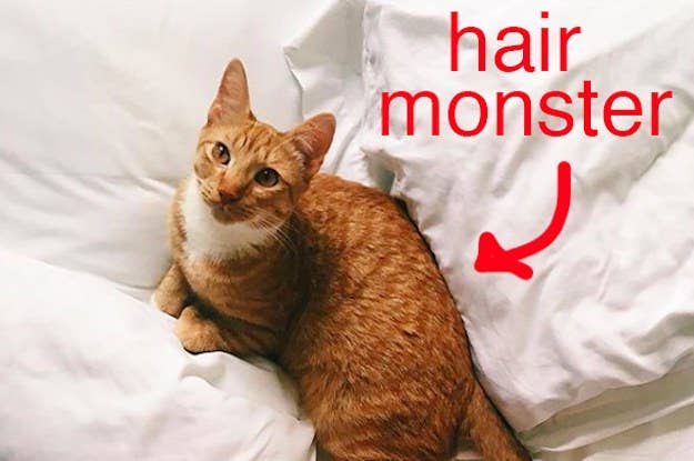 If Your Pet Won T Stop Shedding You Need This 14 Grooming Brush