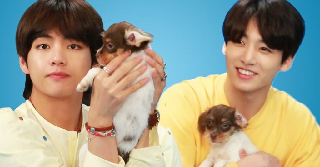 防弾少年団 Bts にインタビュー もちろん 犬といっしょに 防弾少年団