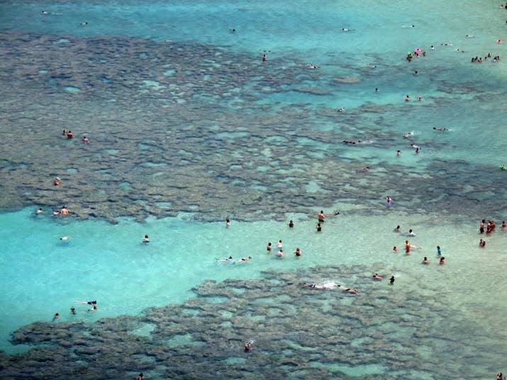 sub-buzz-29187-1525235014-7.jpg?downsize