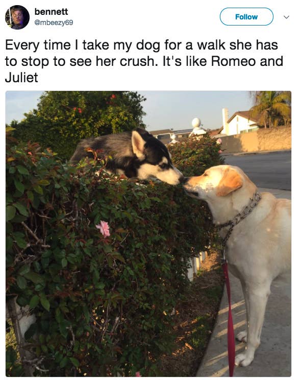 あ 俺の生活は犬以下だなって思う瞬間