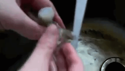 Garnelen und Eier von ihrer Schale zu befreien kann mühsam und zeitraubend sein, lässt sich unter fließendem Wasser jedoch beschleunigen. Mit dem Wasser lässt sich die Schale leichter entfernen und abspülen.Du kannst fließendes Wasser auch benutzen, um Lebensmittel rasch aufzutauen. Halte deine tiefgekühlten Lebensmittel (noch in der Verpackung) unter kaltes, fließendes Wasser oder tausche einfach alle 30 Minuten das Wasser aus. So taust du deine Lebensmittel rasch und effektiv auf – in einem Bruchteil der Zeit. Weitere Methoden, wie du Lebensmittel effektiv auftauen kannst, findest du hier.