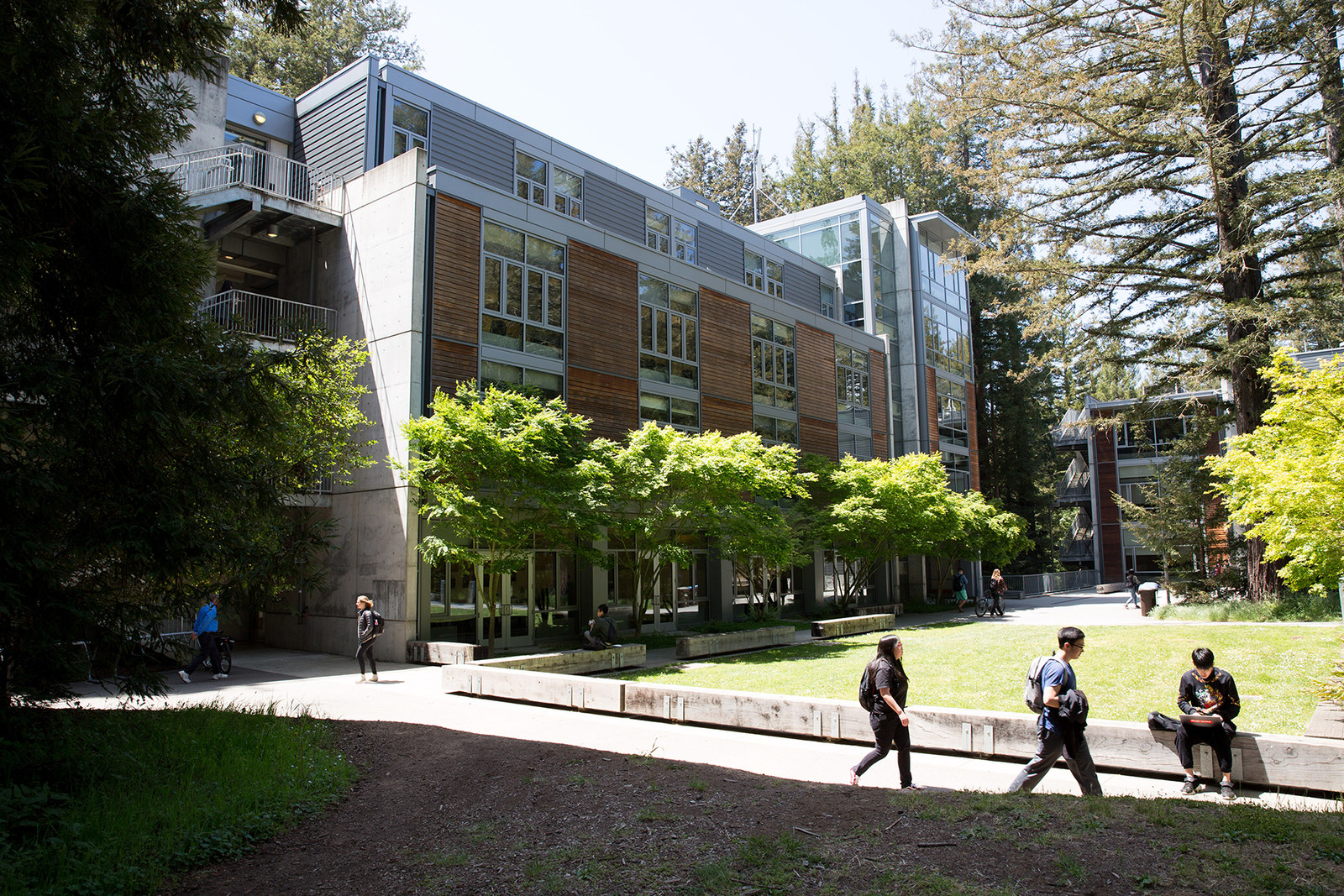 uc santa cruz sociology