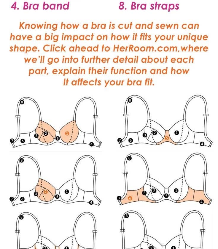 Bra Anatomy – Know the Parts to Know What's Best for You 
