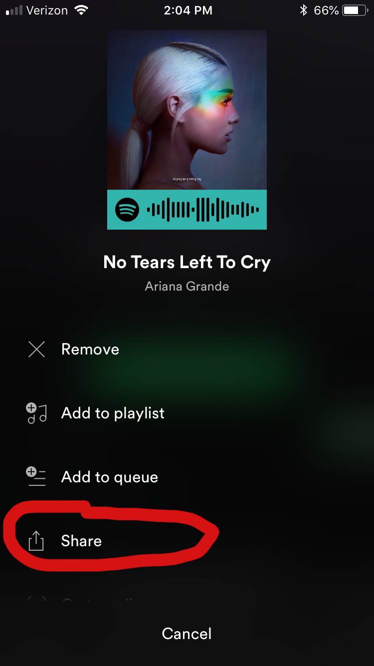 If You Didn't Already Know, You Can Now Add Spotify Songs To Your