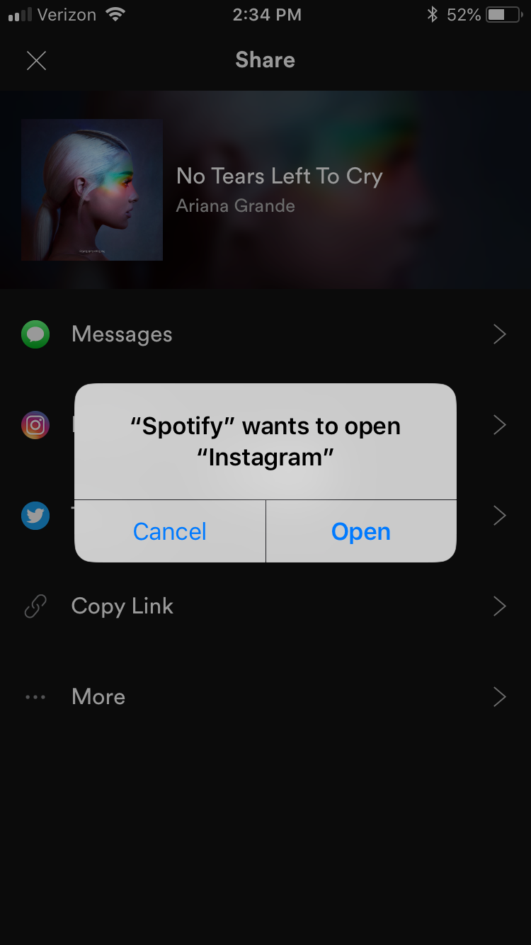 If You Didn't Already Know, You Can Now Add Spotify Songs To Your