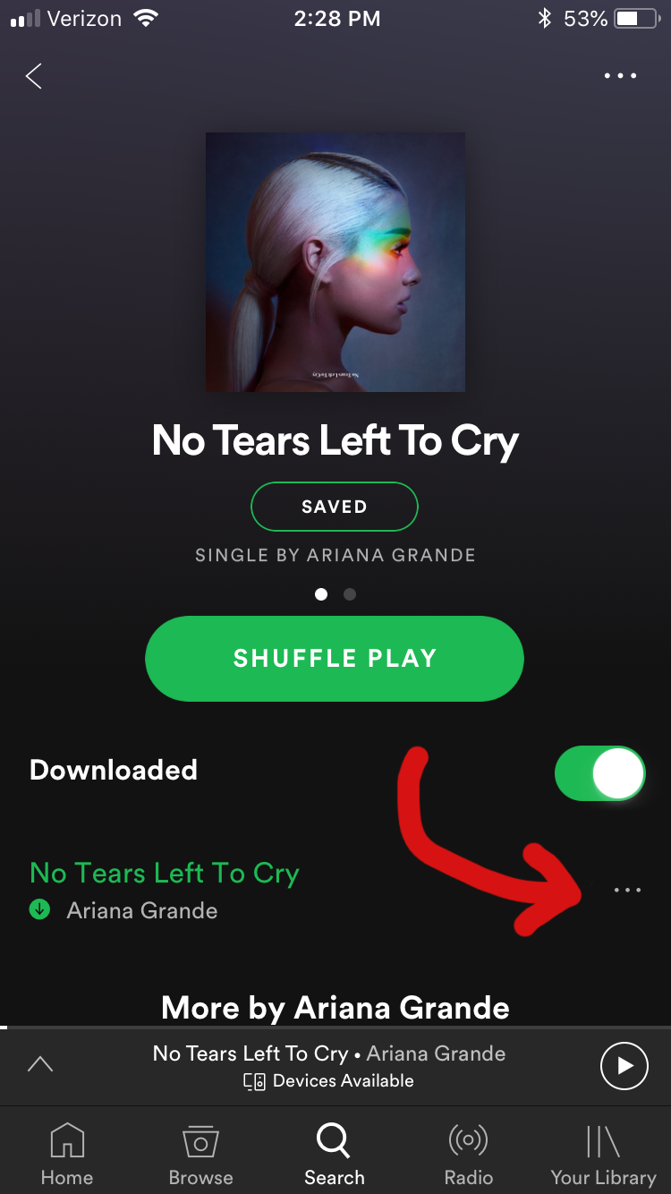 If You Didn't Already Know, You Can Now Add Spotify Songs To Your