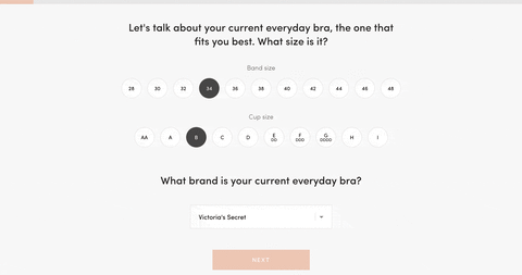The Ultimate Guide To Buying Wearing And Caring For Bras