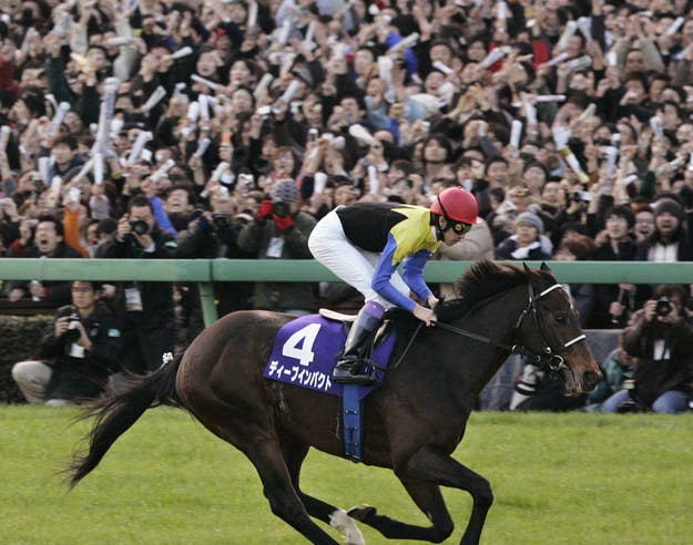 全問正解できる 競馬ファンしか解けない 名馬当てクイズ 全問正解できる 競馬ファンしか解けない 名馬当てクイズ