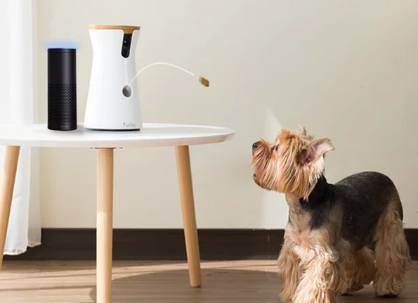 the dispenser popping out a treat for a small dog