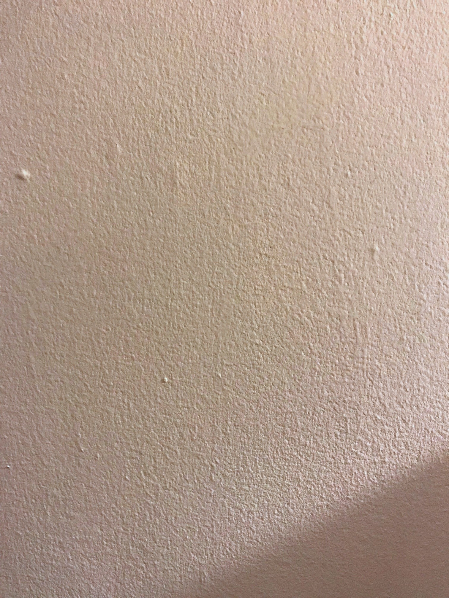 I Swear By This Cheap Dupe For Magic Erasers