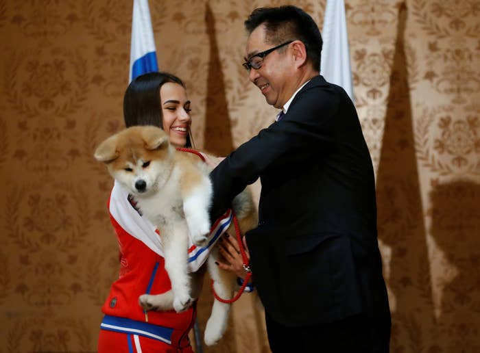 ザキトワ選手に贈呈された秋田犬 マサル がかわいすぎるとわかる15の証拠写真