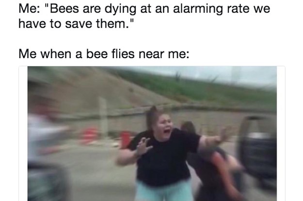19 Jokes You'll Laugh At If You Both Respect And Fear Bees