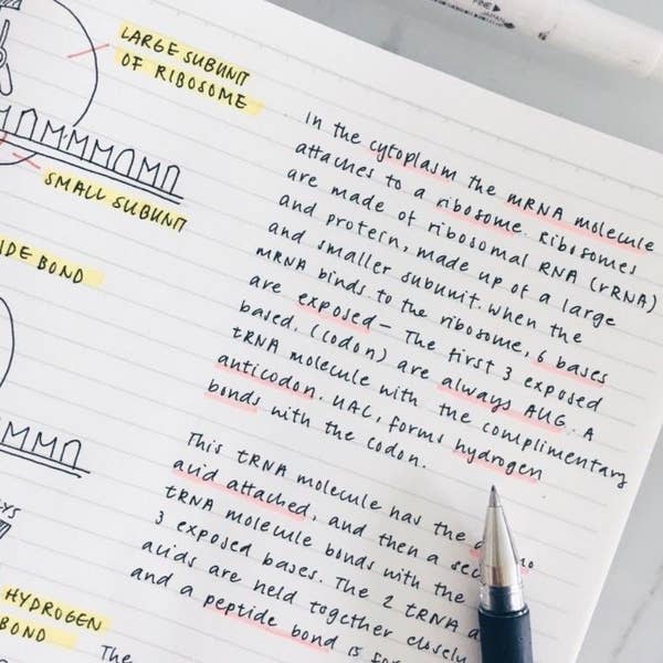22 Study Notes Which Make Your Handwriting Look Like A Pile Of Trash