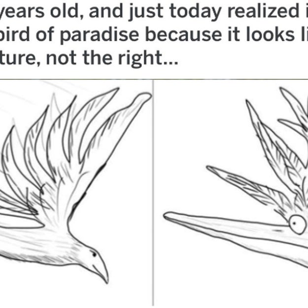 Here's Why That Flower Is Actually Called A Bird Of Paradise