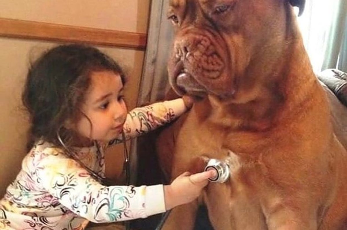 18 Blagues Qui Devraient Vous Faire Rire Si Vous Avez Le Meme Humour Qu Un Enfant De Huit Ans