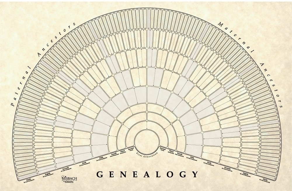 A poster-sized piece of parchment that reads &quot;genealogy&quot; at the bottom and has space to fill in names throughout the generations, with the left side labeled for paternal ancestors and the right for maternal ancestors