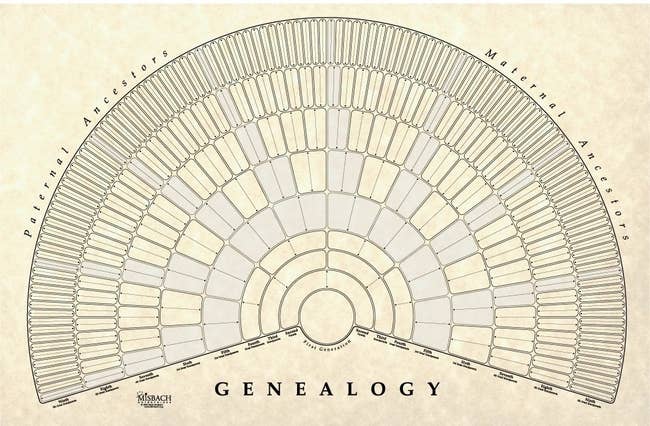 the poster with an arch shaped chart with paternal and maternal sides and the word 
