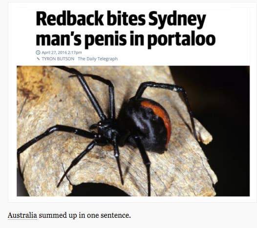 Just 99 Of The Funniest Aussie Tumblr Posts Of All Time